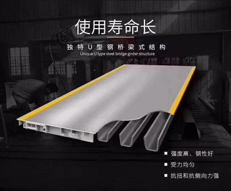 高精度電子地磅